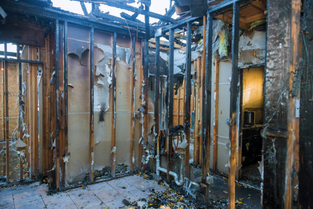 Professional Fire Damage Assessment technician working in Blue Springs, MO